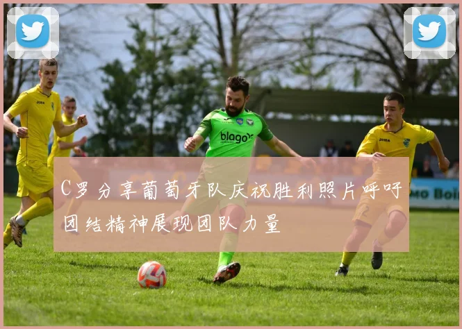 C罗分享葡萄牙队庆祝胜利照片呼吁团结精神展现团队力量